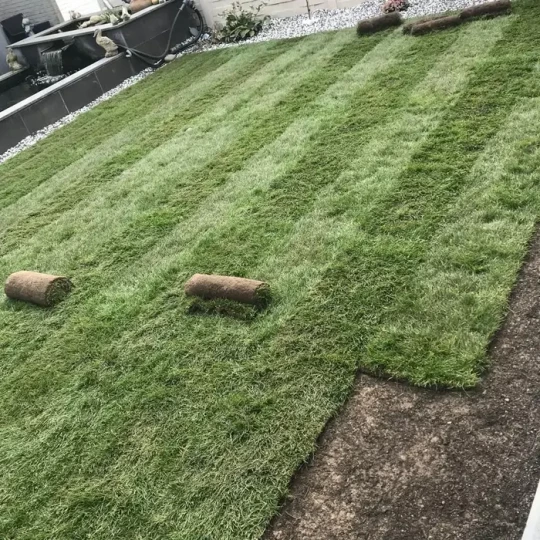 Periodiek tuinonderhoud Sint-Niklaas, Oost-Vlaanderen